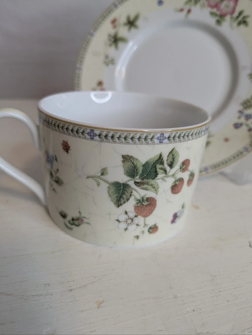 Wedgwood Fleur Flat Cup And Saucer Fruit And Flower Motif